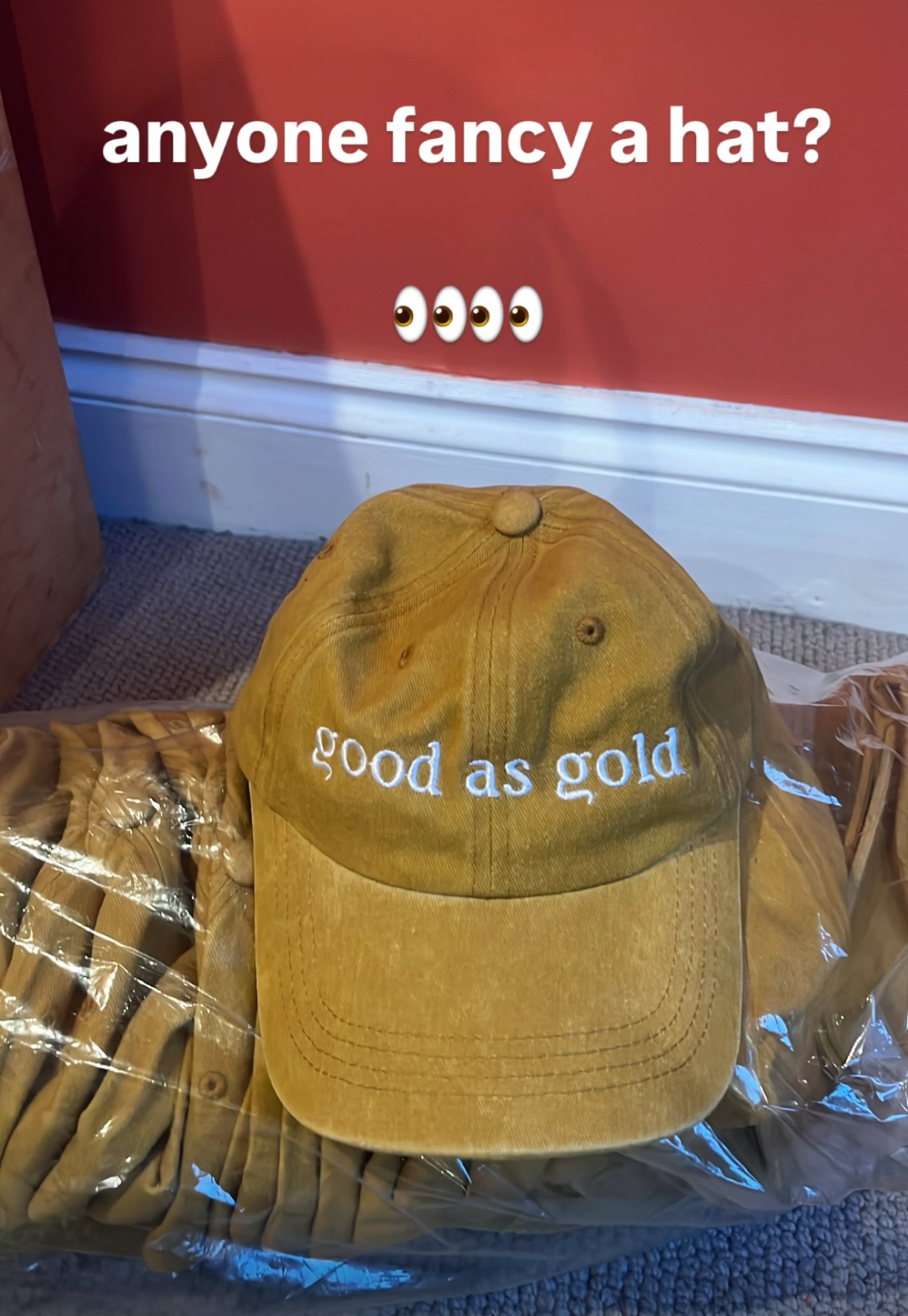 THE IMMIGRANT SONG HAT
